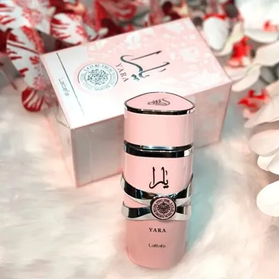 b00c27fc41d6c2e737f25af8aa1017a62b8ae6c7